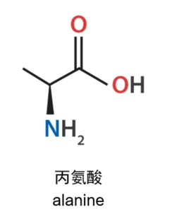 Alanine chemical structure
