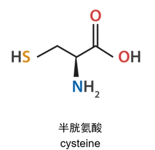 Cysteine chemical structure