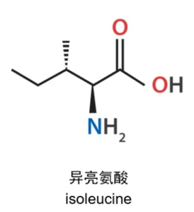 Isoleucine chemical structure