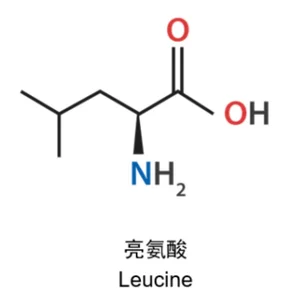Leucine chemical structure