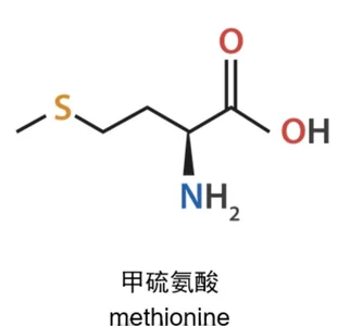 Methionine chemical structure