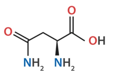 Asparagine chemical structure