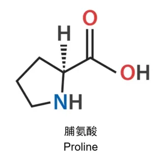 Proline chemical structure