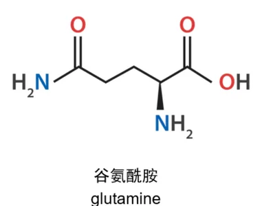 Glutamine chemical structure