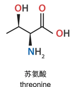 Threonine chemical structure