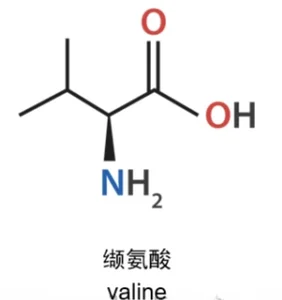 Valine chemical structure