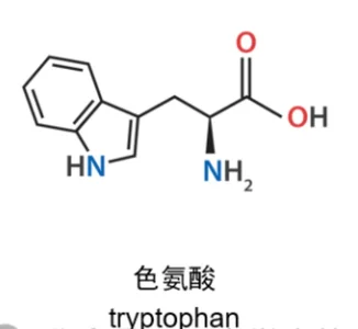Tryptophan chemical structure