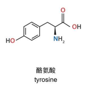 Tyrosine chemical structure