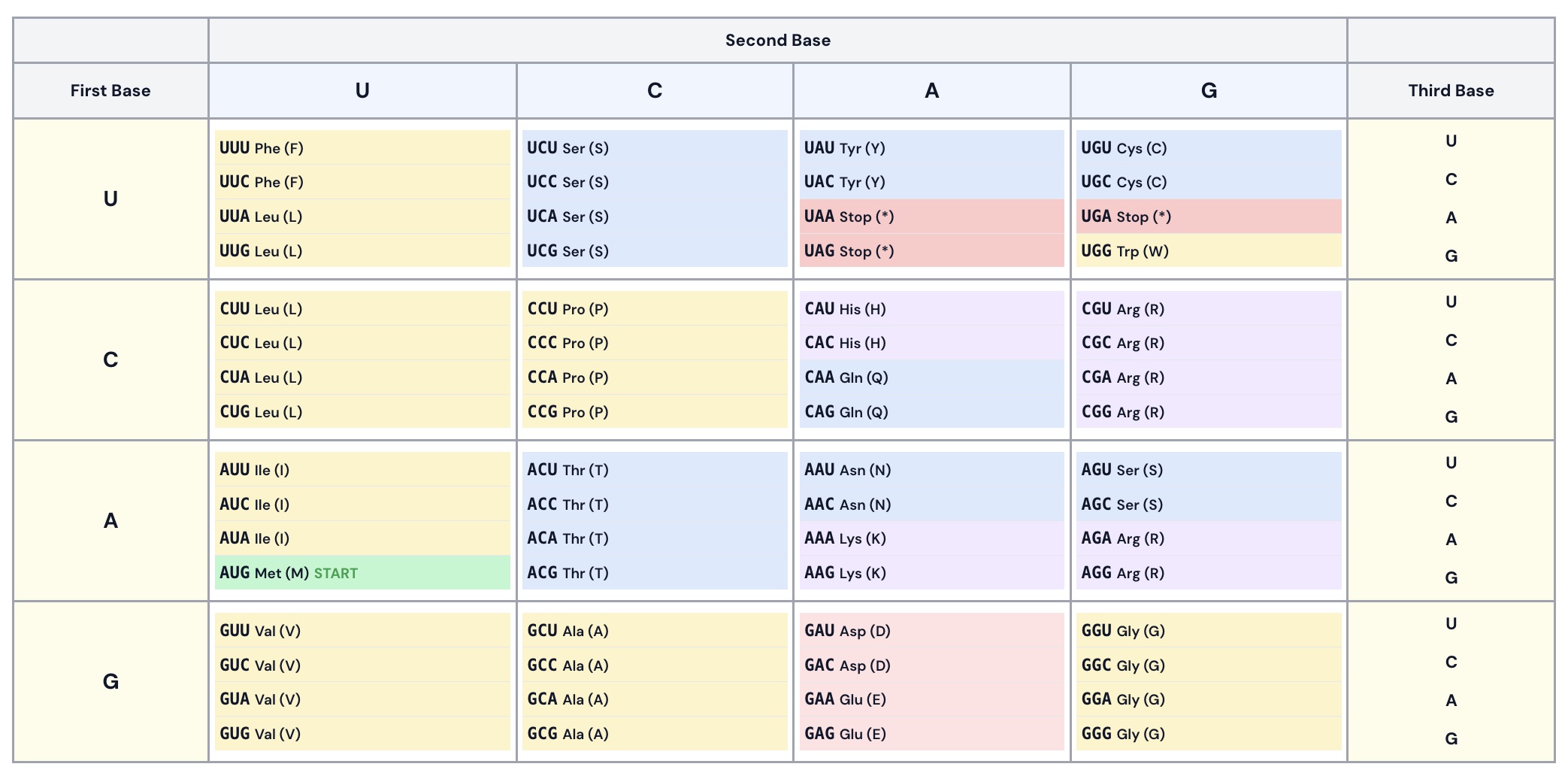 Interactive codon table chart for all 64 codons